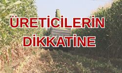 Otomatik SGK Bildiriminde Son Gün 15 Temmuz