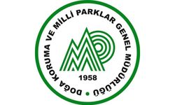 Kırşehir DKMP’den Satış Duyurusu