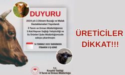 Tarım ve Orman İl Müdürlüğü'nden Buzağı ve Malak Destekleme Duyurusu