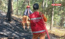 KIRAGDER Gönüllüleri Karabük’te Yeşil Vatan İçin Mücadelede