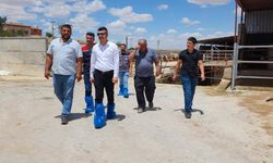 Kaymakam Emre Yeşilbaş’tan Pınarkaya Köyüne Ziyaret