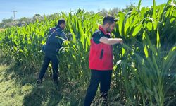 Yenidoğanlı’da Üretici Ziyareti, Tarla Gözlemleri ve Arıcılık Denetimi Gerçekleştirildi