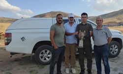 Yılan Kartalı Tedavi Altında