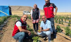Tarım ve Orman Müdürlüğü’nden Çayağzı Köyü’ne Ziyaret