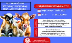 Kırşehir’de Hayvan Desteği Başvuruları Duyuruldu