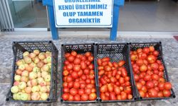Kırşehir Açık Cezaevi’nden Vatandaşa Doğal Ürünler
