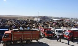 Kırşehir’de Hayvan Pazarı Yeniden Açıldı
