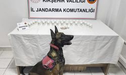 Kırşehir’de Uyuşturucu Operasyonu: 2 Kişi Gözaltında