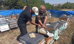 Kaman’da Tarım ve Gıda Denetimleri Aralıksız Sürüyor