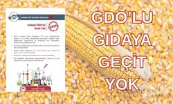Kırşehir Tarım ve Orman İl Müdürlüğü’nden “Gıdada GDO Denetimi Yapılmıyor” İddialarına Yanıt