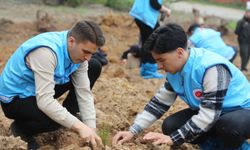 TDV, 81 İlde Ormanları Yeniden Yeşertiyor