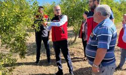 Hünnap Hasadı Başladı: Kırşehir’den İtalya’ya İhracat