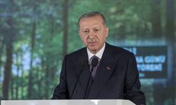 11 Kasım’da Hep Birlikte Fidan Dikelim