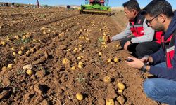 Sahada Üretim Takibi Devam Ediyor!