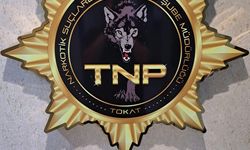 Tokat'ta uyuş*turucu operasyonu, 500 içimlik bonzai ele geçirildi