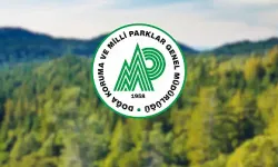 Gençlere Yeni İş Kapısı: DKMP Alım Başvuruları Başladı!