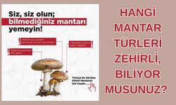 Tarım ve Orman İl Müdürlüğü’nden Vatandaşlara Mantar Uyarısı