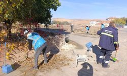 Çiçekdağı’nda Sabah Mesaisi: Temizlik Seferberliği!