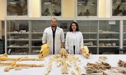 Türk antropologlar, Etiyopya'da ortak kazı çalışmaları yapacak