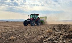 Kırşehir'de verimi artırmak amacıyla tarlalardaki taşlar toplanıyor