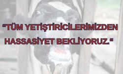 İl Müdürlüğü, şap hastalığına ilişkin bilgilendirme yaptı