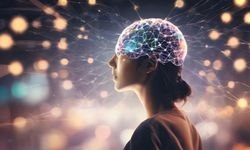 Yeni Araştırma Kırşehir’de Merak Uyandırdı: İnsan Beyni 32 Yaşına Kadar Ergenlik Dönemi mi Yaşıyor?