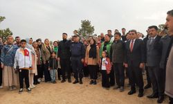 11 Kasım’da Kırşehir’de Fidan Bayramı