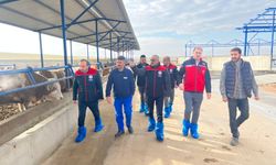 Kırşehir Tarım Müdürlüğü’nden Hayvancılık Sektörüne Yoğun Saha Mesaisi