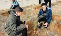 Kırşehir’de Öğrenciler Şehitler İçin Fidan Dikti!