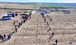 Kırşehir'de cezaevi yerleşkelerinde 5 bin 500 fidan toprakla buluşturuldu