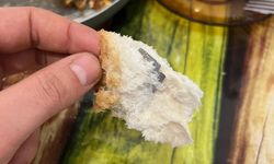 Ekmeğin içinden çıkanı görünce şok oldu