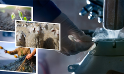 Tarım Destekleri Başladı