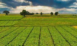 Kırşehirli Çiftçilere de Can Suyu Olacak