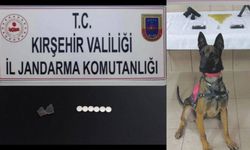 Kırşehir Çiçekdağı İlçesinde Metamfetamin ve Silah Ele Geçirildi