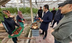 Kaymakam Öğüt’ten FARMCO’ya İnceleme