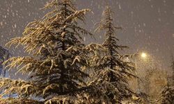 Kırşehir’de gece saatlerinde lapa lapa kar yağışı başladı