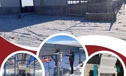 Kırşehir’e Yeni Büyükbaş Besicilik Tesisi Kazandırıldı