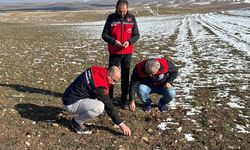 Merkez, Çiçekdağı ve Mucur’da tarım sahasında inceleme