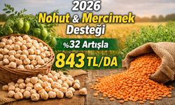 2026 Nohut ve Mercimek Desteğine %32 Artış