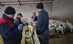 Kırşehir’de Tarım ve Hayvancılık Takipte