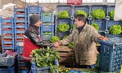 Kırşehir'de Sokakta Çalışan Çocuklar İçin Saha Taraması