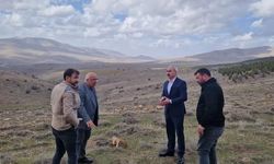 Özbağ’da TOKİ’ye Altyapı Çalışması