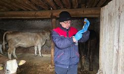 Sağlıklı Hayvan İçin Aşılama Vurgusu