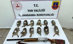Van'da keklik avlayan kişiye 81 bin TL ceza