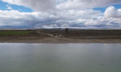 Kırşehir'de Seyfe Gölü'nde flamingo cümbüşü böyle görüntülendi