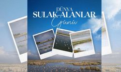 Sulak Alanlar İçin Ortak Sorumluluk Vurgusu