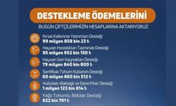 Üreticiye Dev Destek: 338 Milyon TL Aktarılıyor