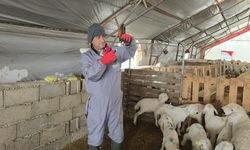 İl Genelinde Yoğun Mesai