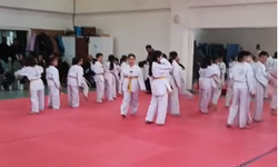 Harman Sahaya Döndü, İlgi Arttı