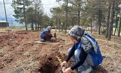 Kırşehir’de Gençlerden Doğaya Nefes